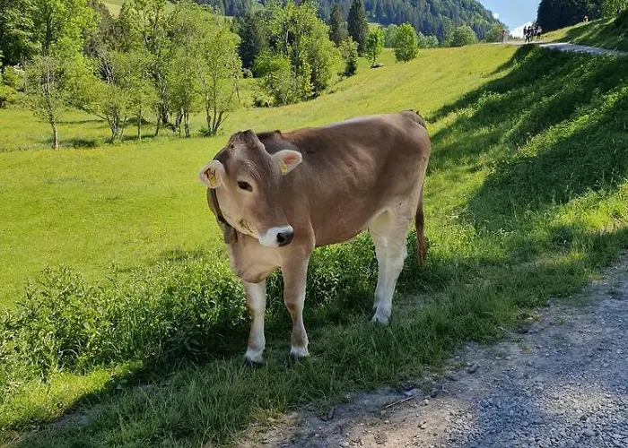 アパート Alpenglueck Im Oberallgaeu Mit Hallenbad, Sauna, Wlan