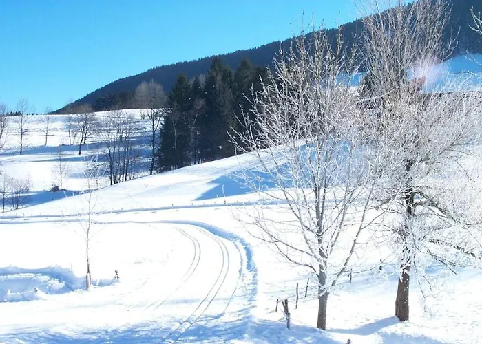 アパート Alpenglueck Im Oberallgaeu Mit Hallenbad, Sauna, Wlan *