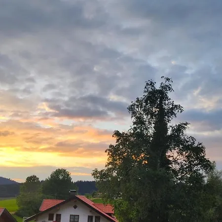 Alpenglück Im Allgäu *