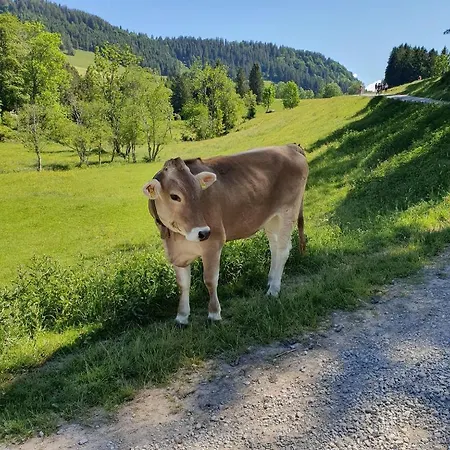 Apartment Alpenglück Im Allgäu